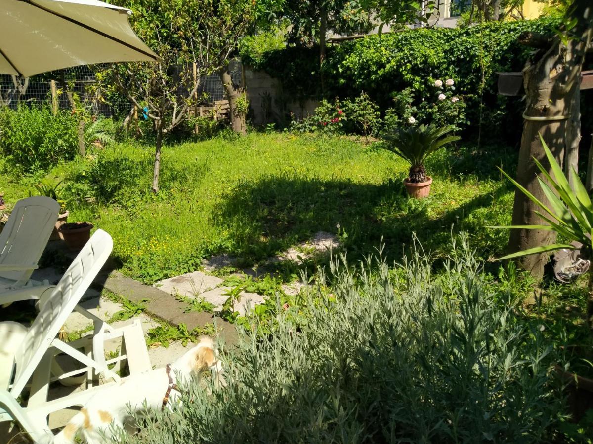 Villino L'Aranceto Sorrentino Bed & Breakfast Meta Exterior foto