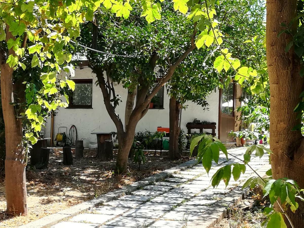 Villino L'Aranceto Sorrentino Bed & Breakfast Meta Exterior foto