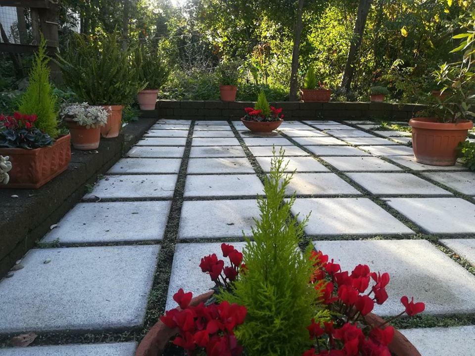 Villino L'Aranceto Sorrentino Bed & Breakfast Meta Exterior foto